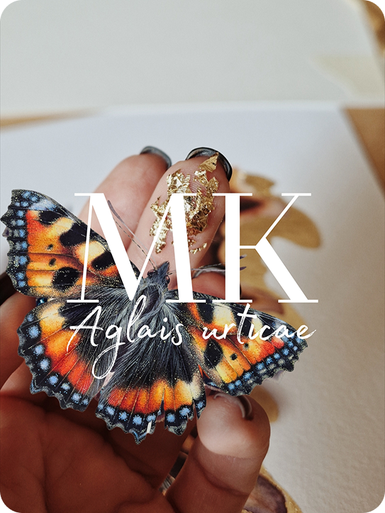 СОНЦЕВИК КРОПИВ’ЯНИЙ